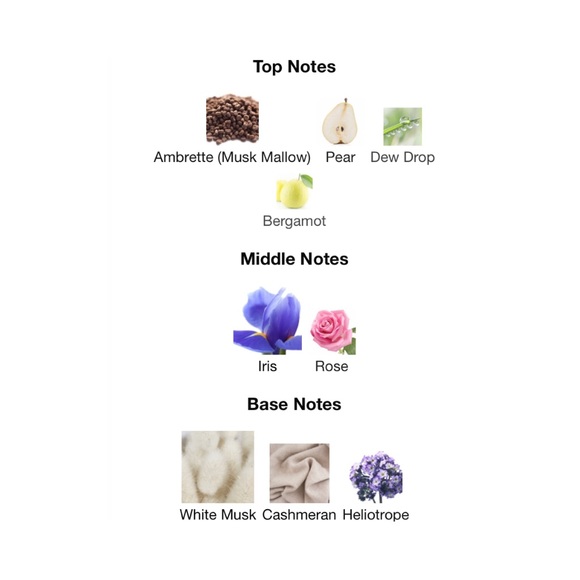 VIKTOR & ROLF Flowerbomb Dew Eau de Parfum - .24 fl oz NIB - Picture 6 of 10